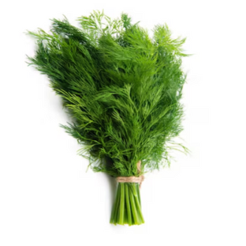 Dill (bundle)